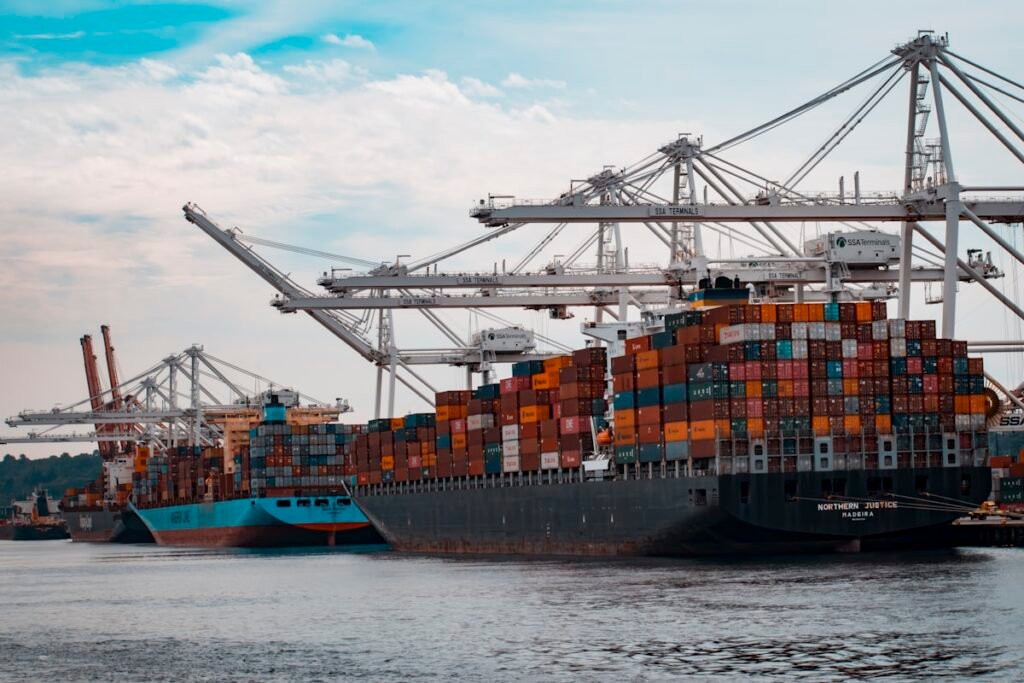 Container ships loading at port cranes